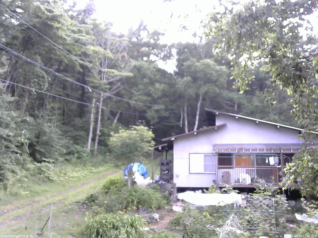 長野県菅平高原 ゆたか山荘 西側(坂上) 2025/07/24 17:45