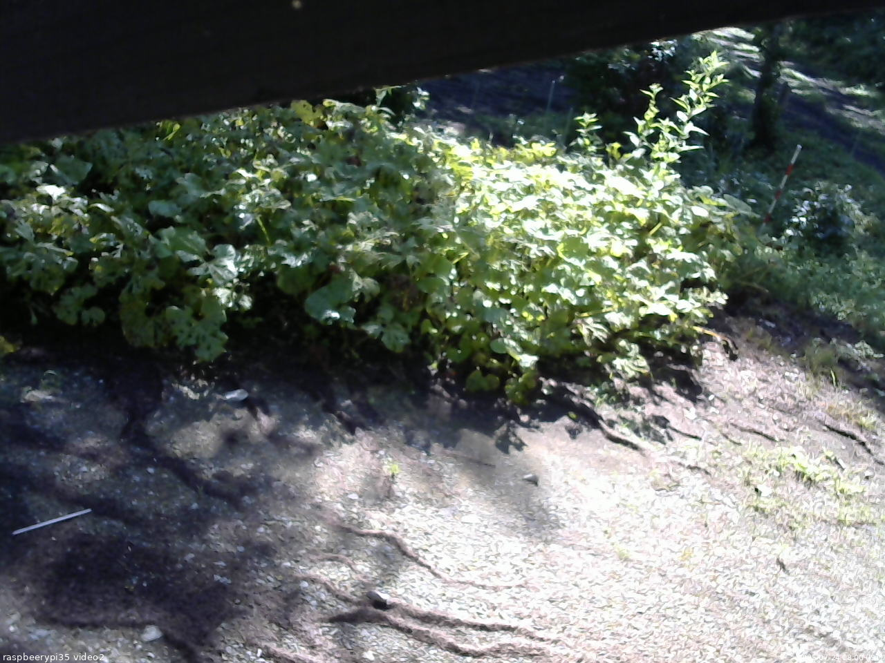 長野県菅平高原 ゆたか山荘 駐車場 2025/07/24 08:00