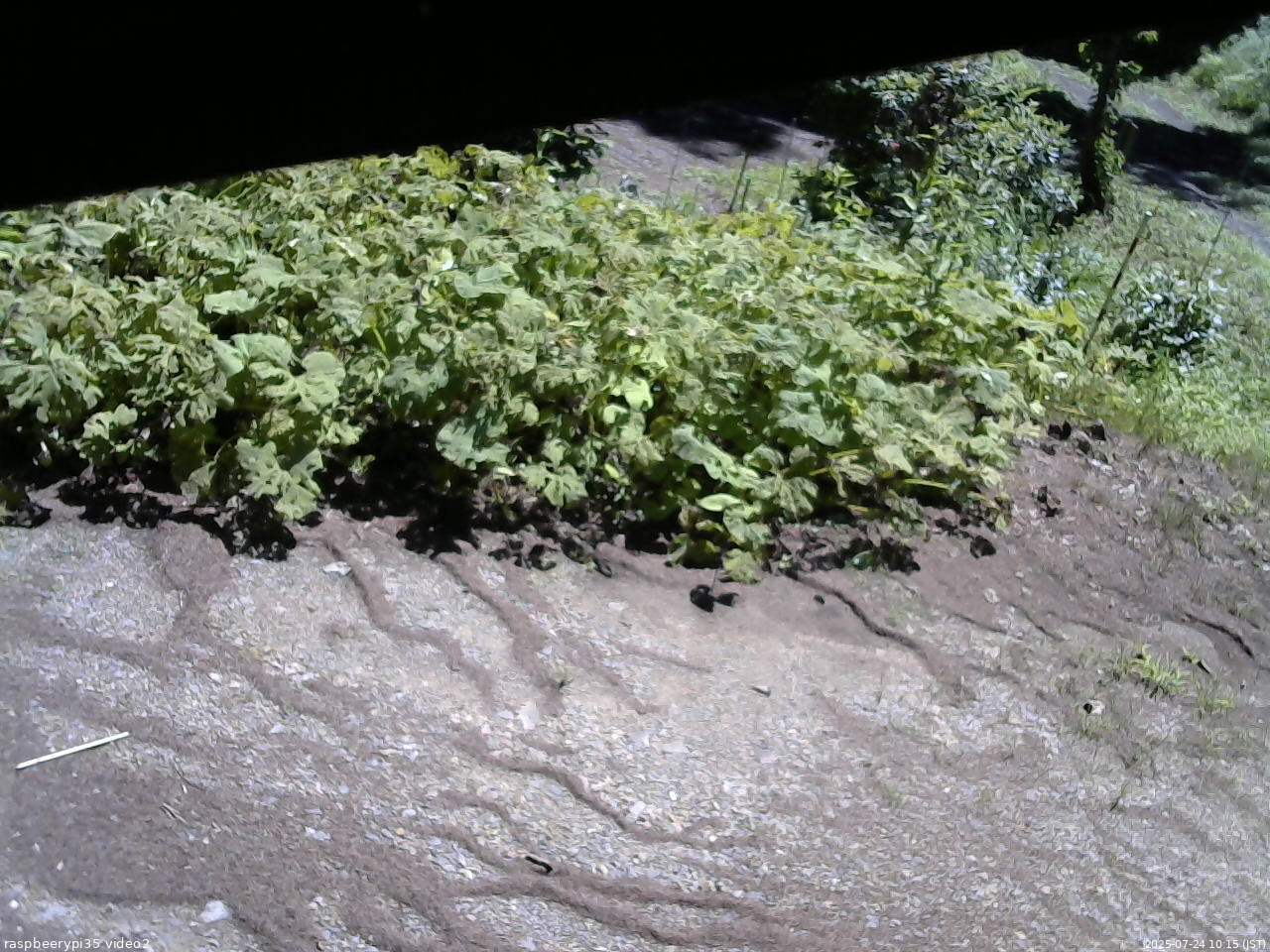 長野県菅平高原 ゆたか山荘 駐車場 2025/07/24 10:15