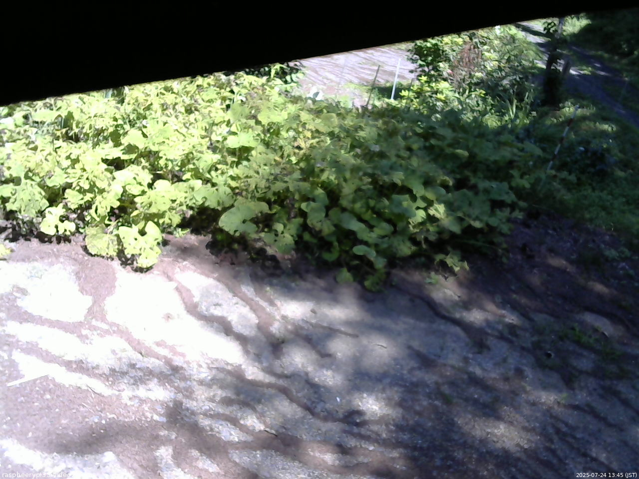 長野県菅平高原 ゆたか山荘 駐車場 2025/07/24 13:45