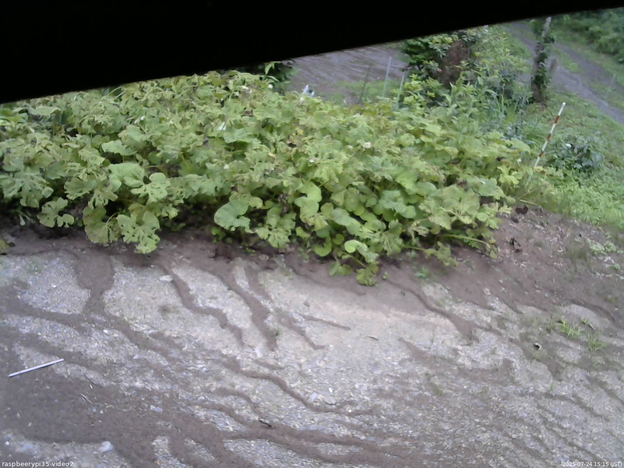 長野県菅平高原 ゆたか山荘 駐車場 2025/07/24 15:15