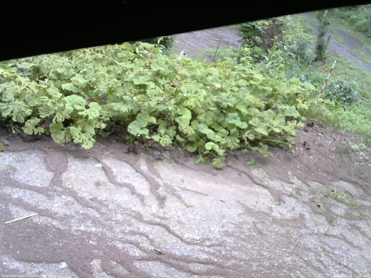 長野県菅平高原 ゆたか山荘 駐車場 2025/07/24 15:30