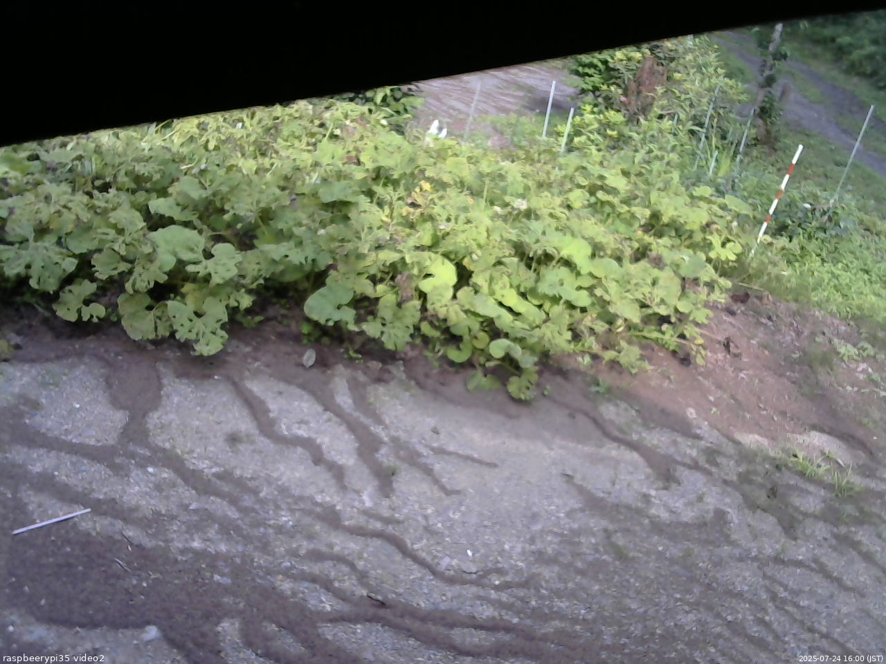 長野県菅平高原 ゆたか山荘 駐車場 2025/07/24 16:00