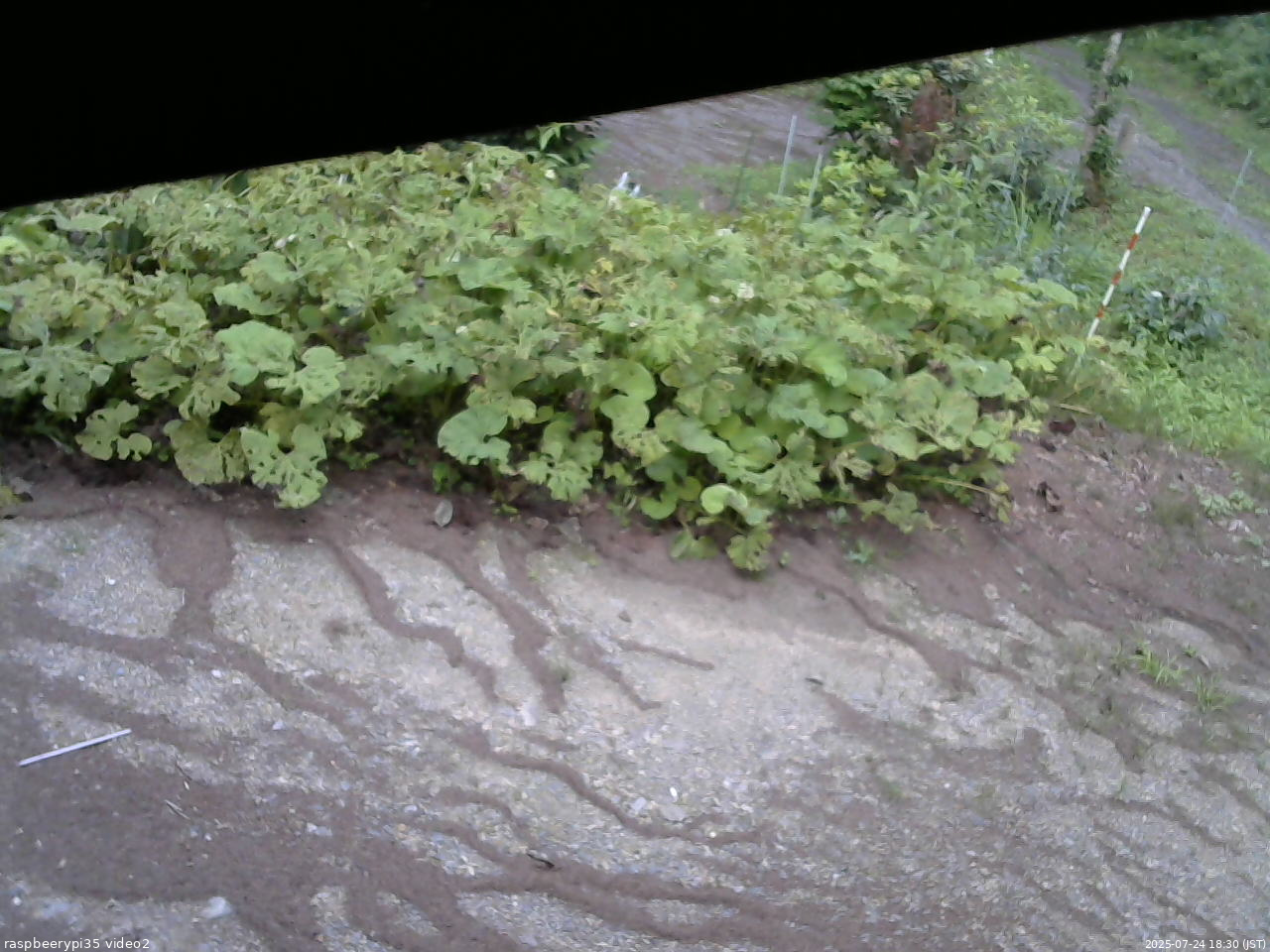 長野県菅平高原 ゆたか山荘 駐車場 2025/07/24 18:30