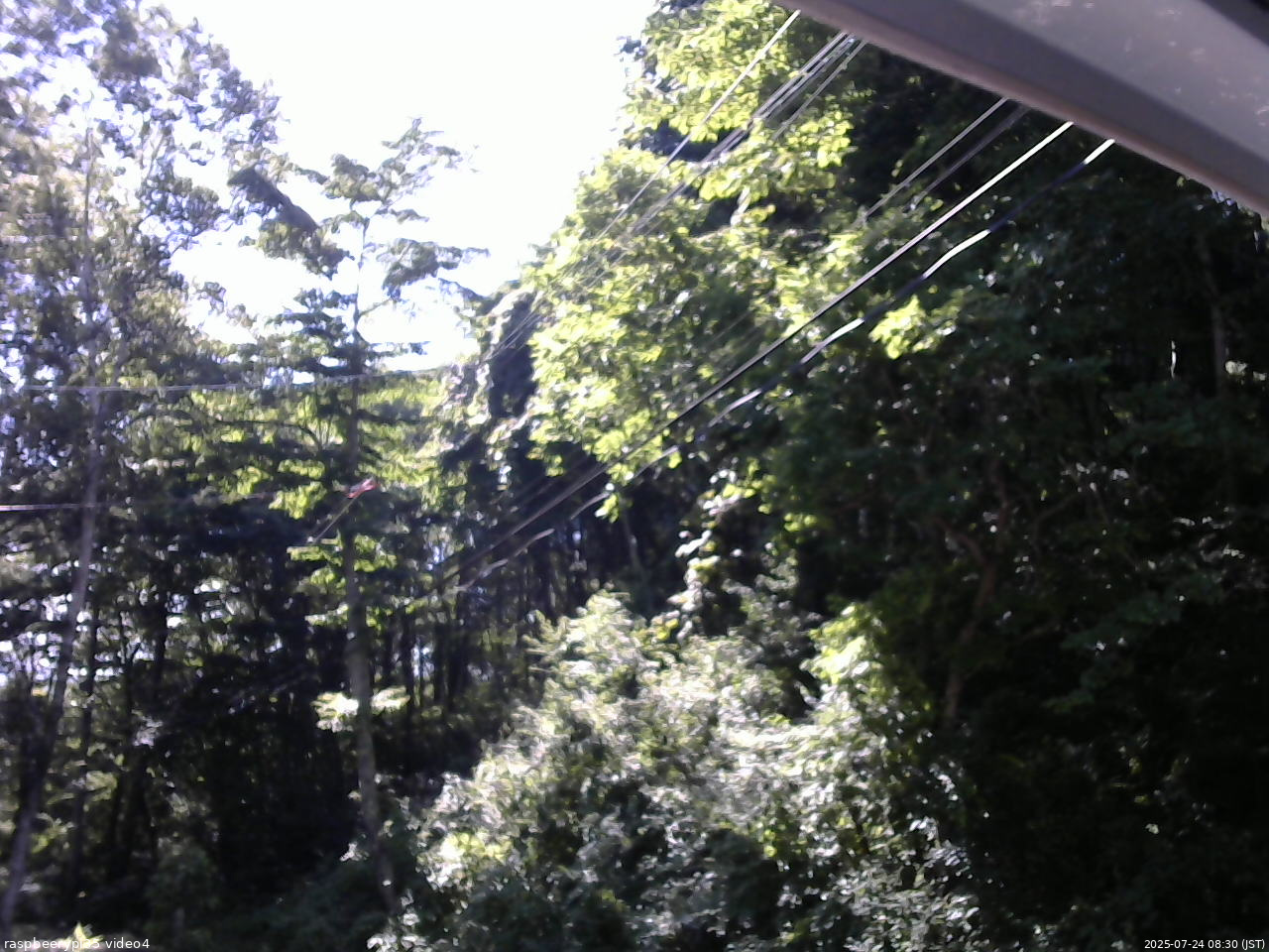 長野県菅平高原 ゆたか山荘 東側上空 2025/07/24 08:30