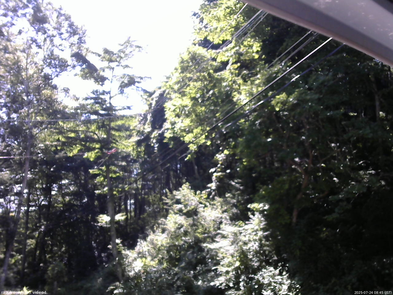長野県菅平高原 ゆたか山荘 東側上空 2025/07/24 08:45