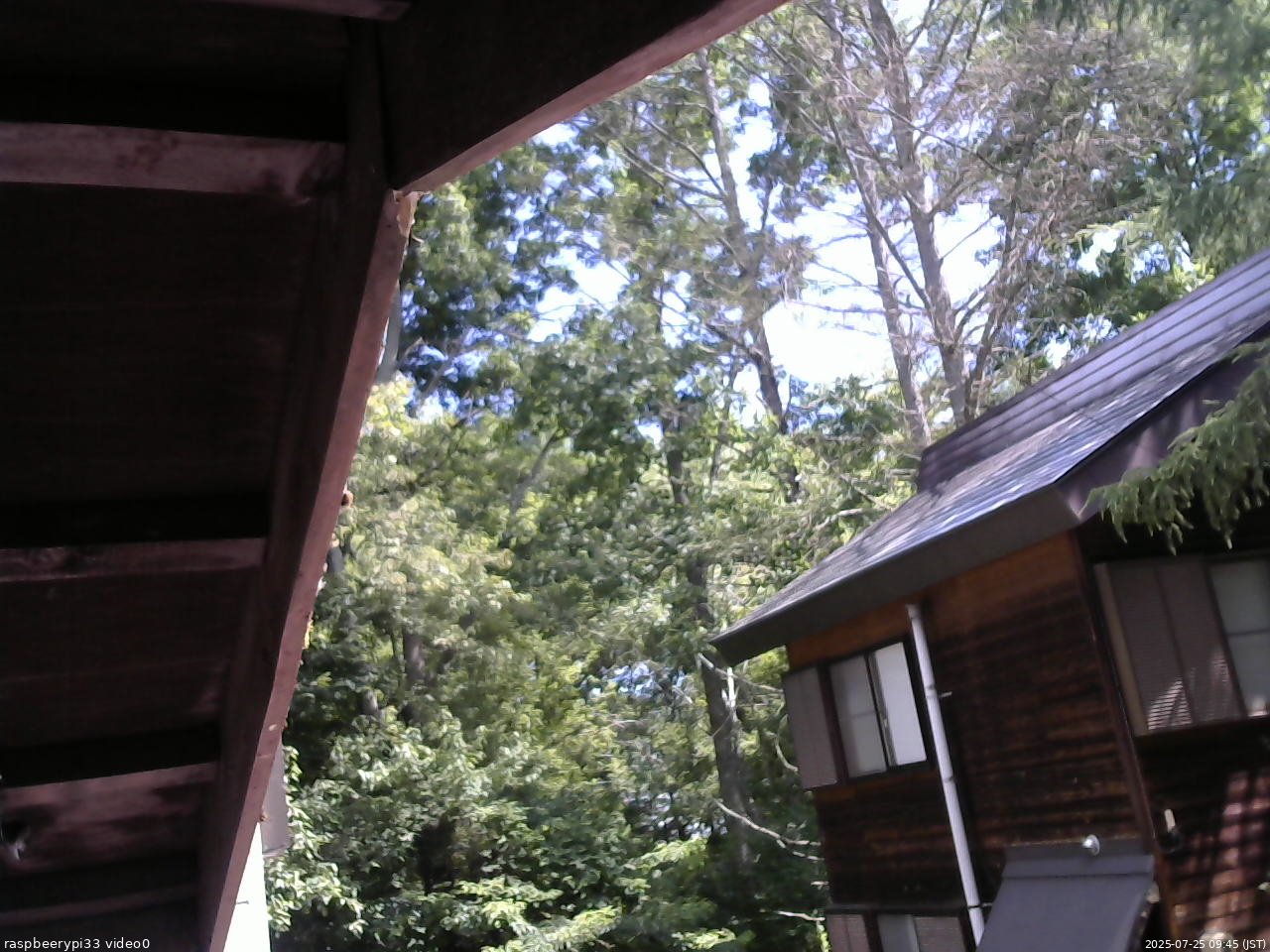 長野県菅平高原 ゆたか山荘 北側 2025/07/25 09:45