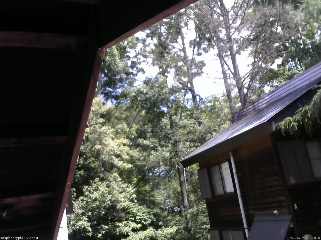 長野県菅平高原 ゆたか山荘 北側 2025/07/25 11:00