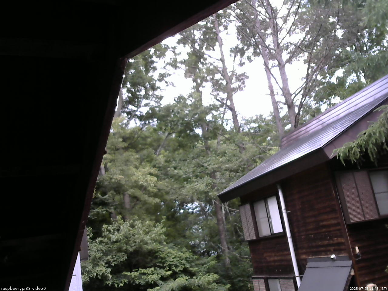 長野県菅平高原 ゆたか山荘 北側 2025/07/25 11:45