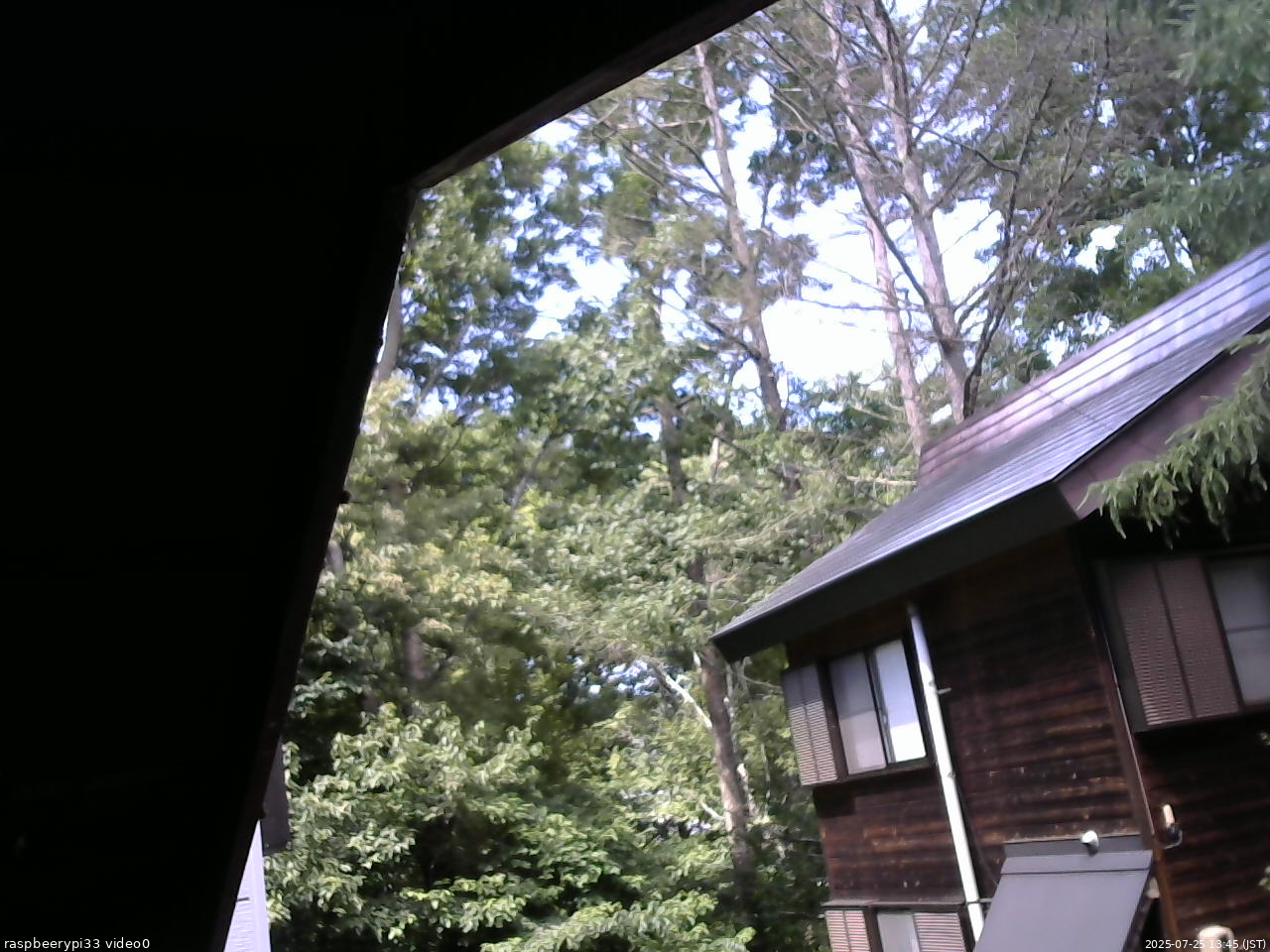 長野県菅平高原 ゆたか山荘 北側 2025/07/25 13:45