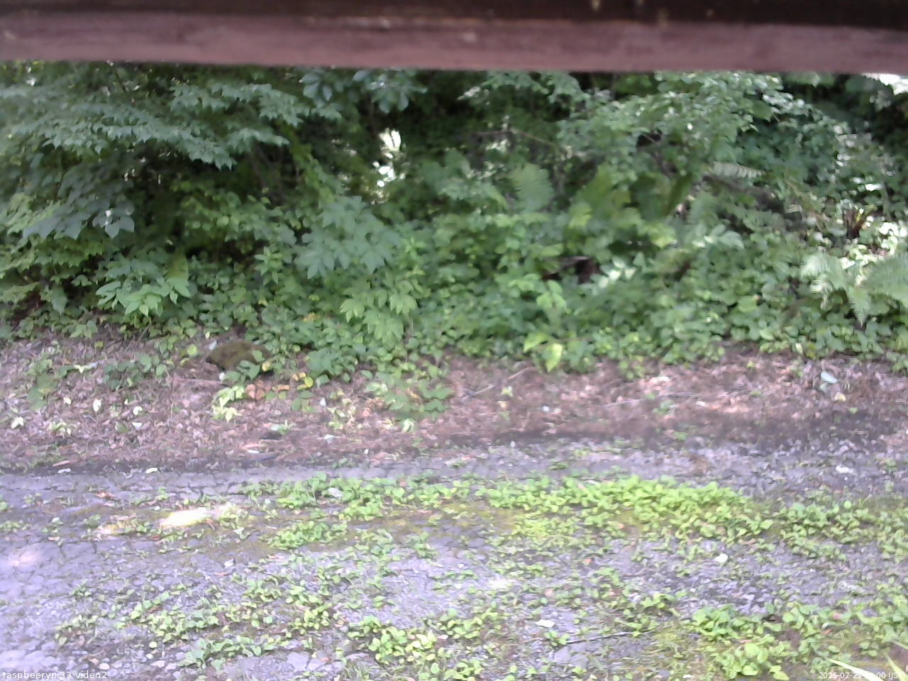 長野県菅平高原 ゆたか山荘 南側 2025/07/25 13:00