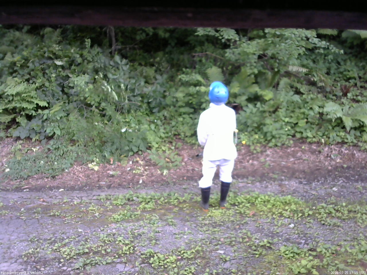 長野県菅平高原 ゆたか山荘 南側 2025/07/25 17:15