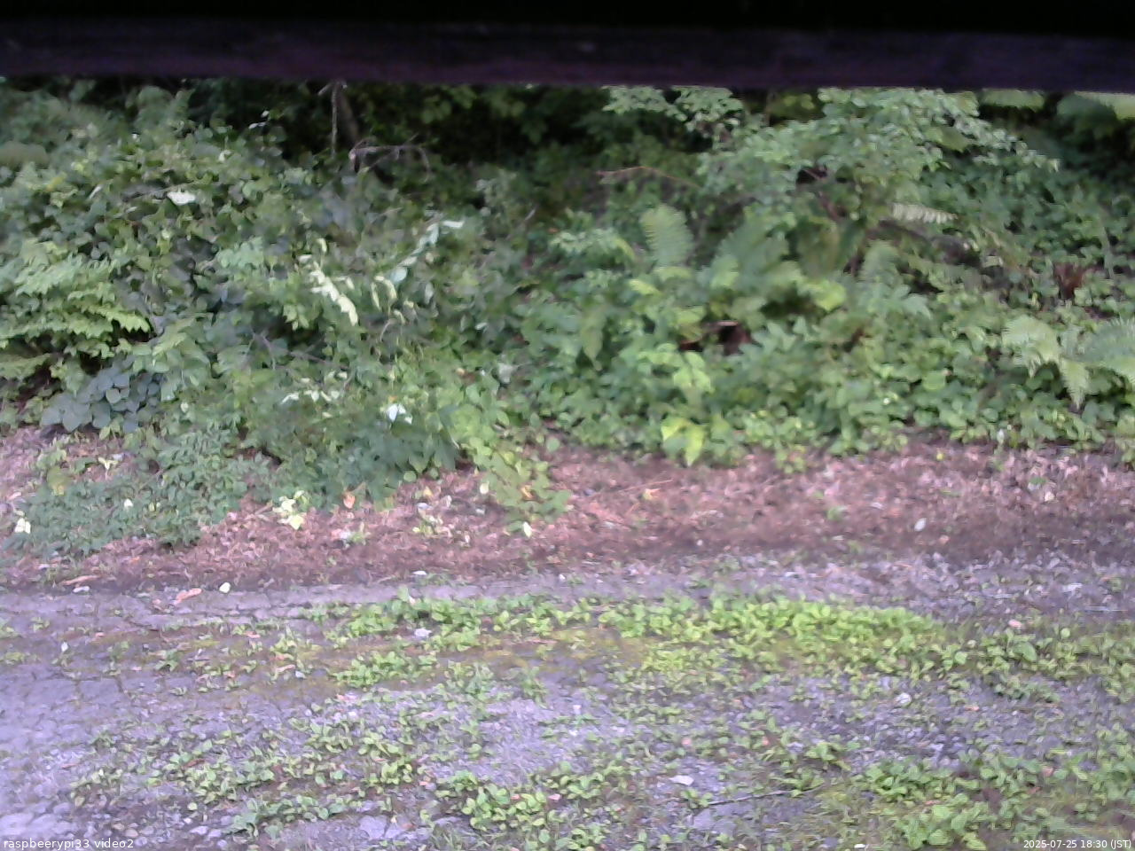 長野県菅平高原 ゆたか山荘 南側 2025/07/25 18:30