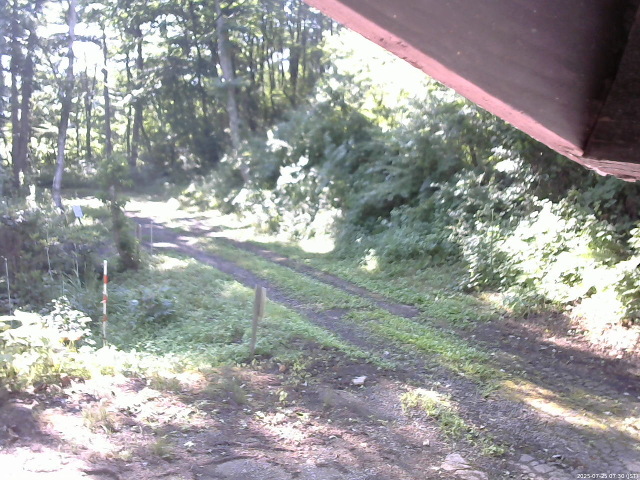長野県菅平高原 ゆたか山荘 東側(坂下) 2025/07/25 07:30