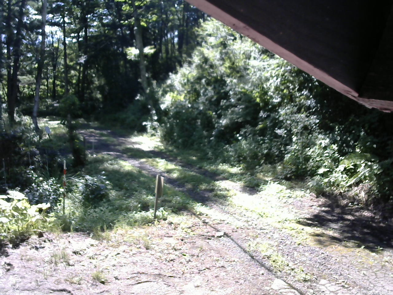 長野県菅平高原 ゆたか山荘 東側(坂下) 2025/07/25 08:30