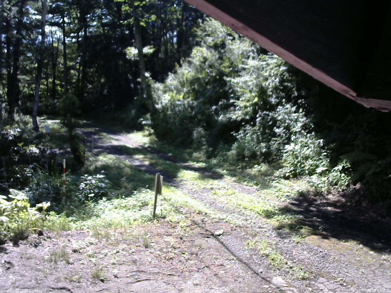 長野県菅平高原 ゆたか山荘 東側(坂下) 2025/07/25 08:45