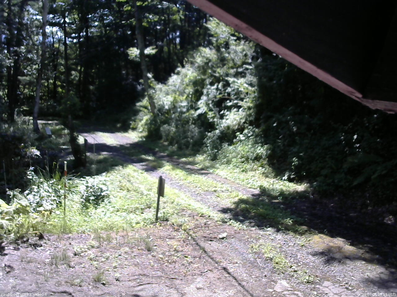 長野県菅平高原 ゆたか山荘 東側(坂下) 2025/07/25 09:15