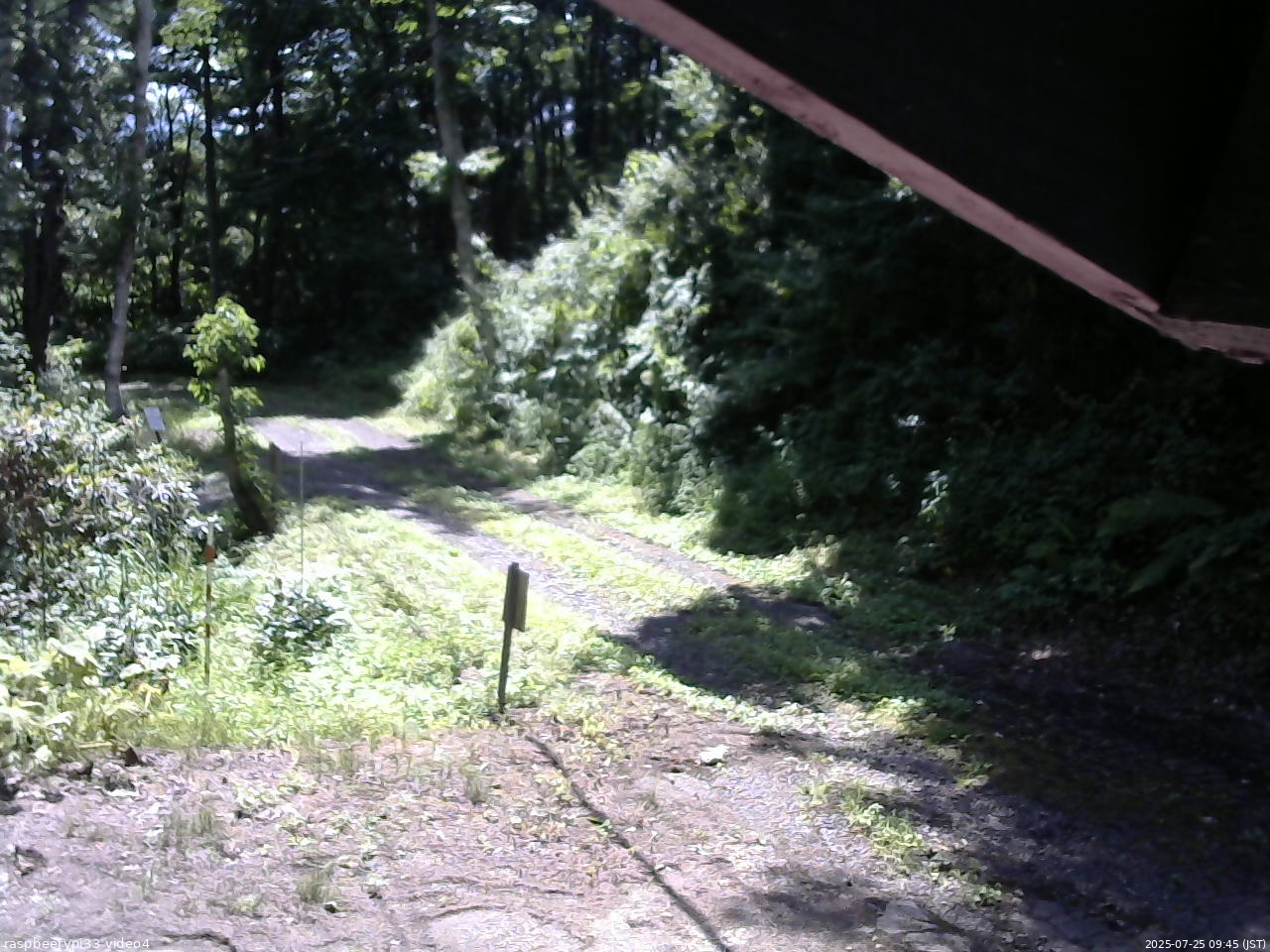 長野県菅平高原 ゆたか山荘 東側(坂下) 2025/07/25 09:45