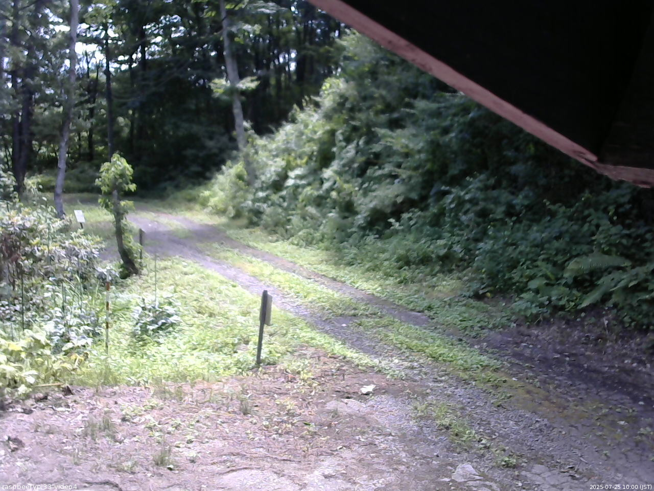 長野県菅平高原 ゆたか山荘 東側(坂下) 2025/07/25 10:00
