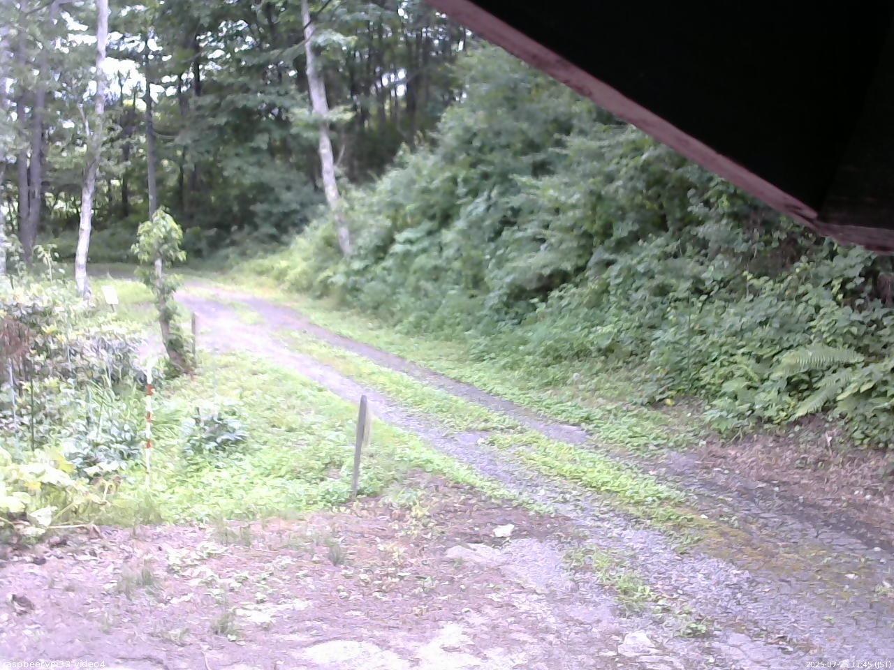 長野県菅平高原 ゆたか山荘 東側(坂下) 2025/07/25 11:45