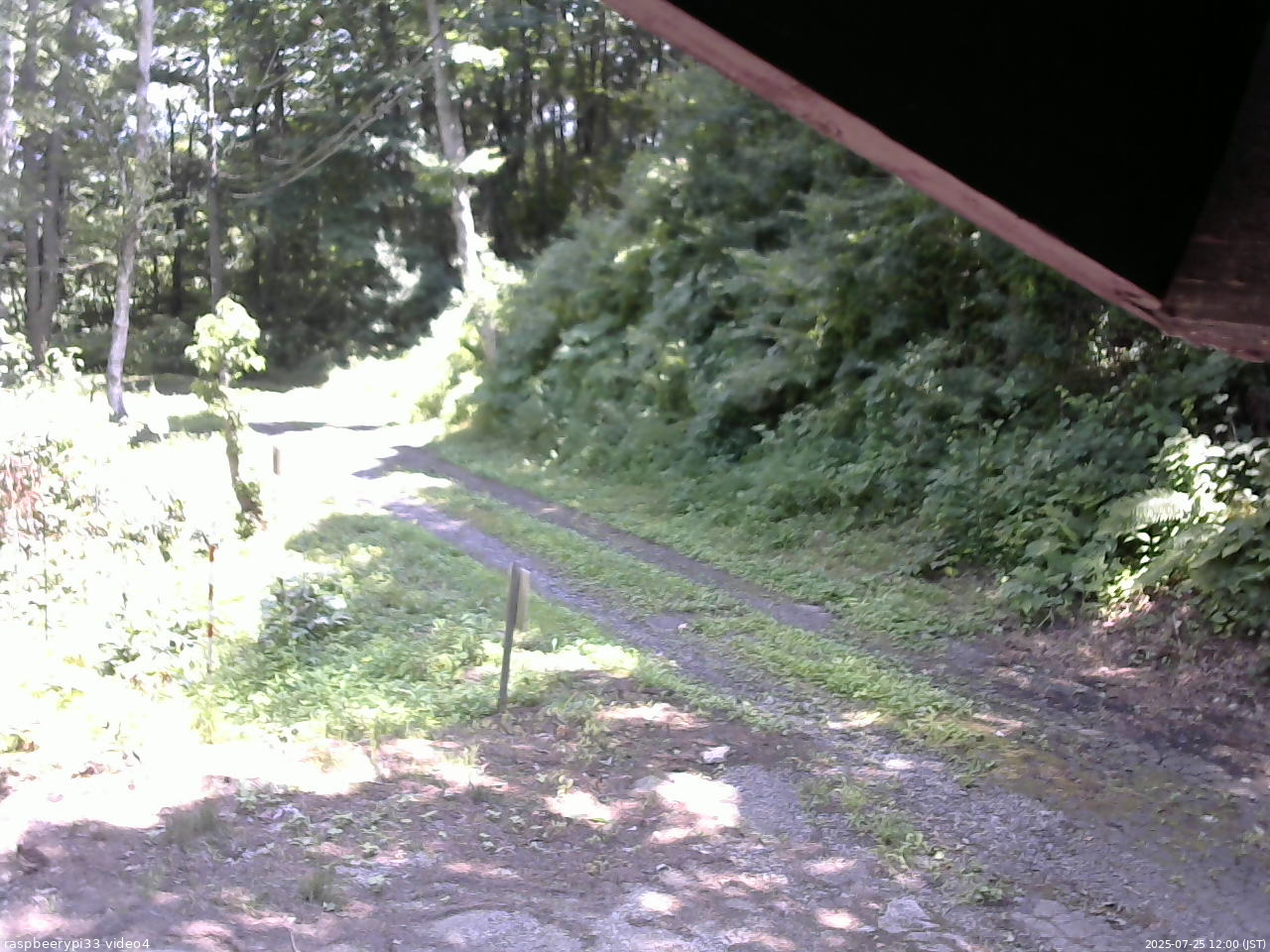 長野県菅平高原 ゆたか山荘 東側(坂下) 2025/07/25 12:00