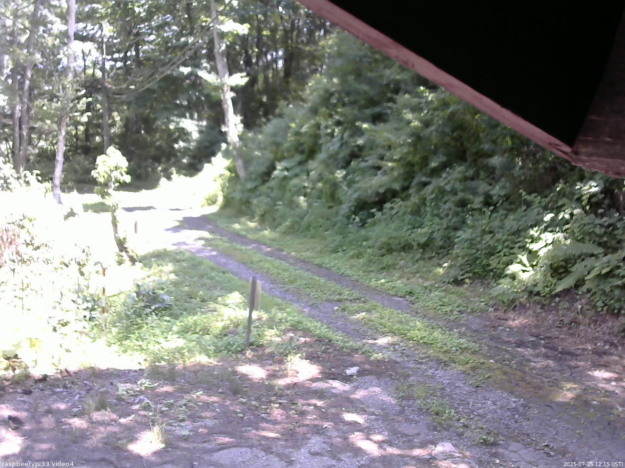 長野県菅平高原 ゆたか山荘 東側(坂下) 2025/07/25 12:15