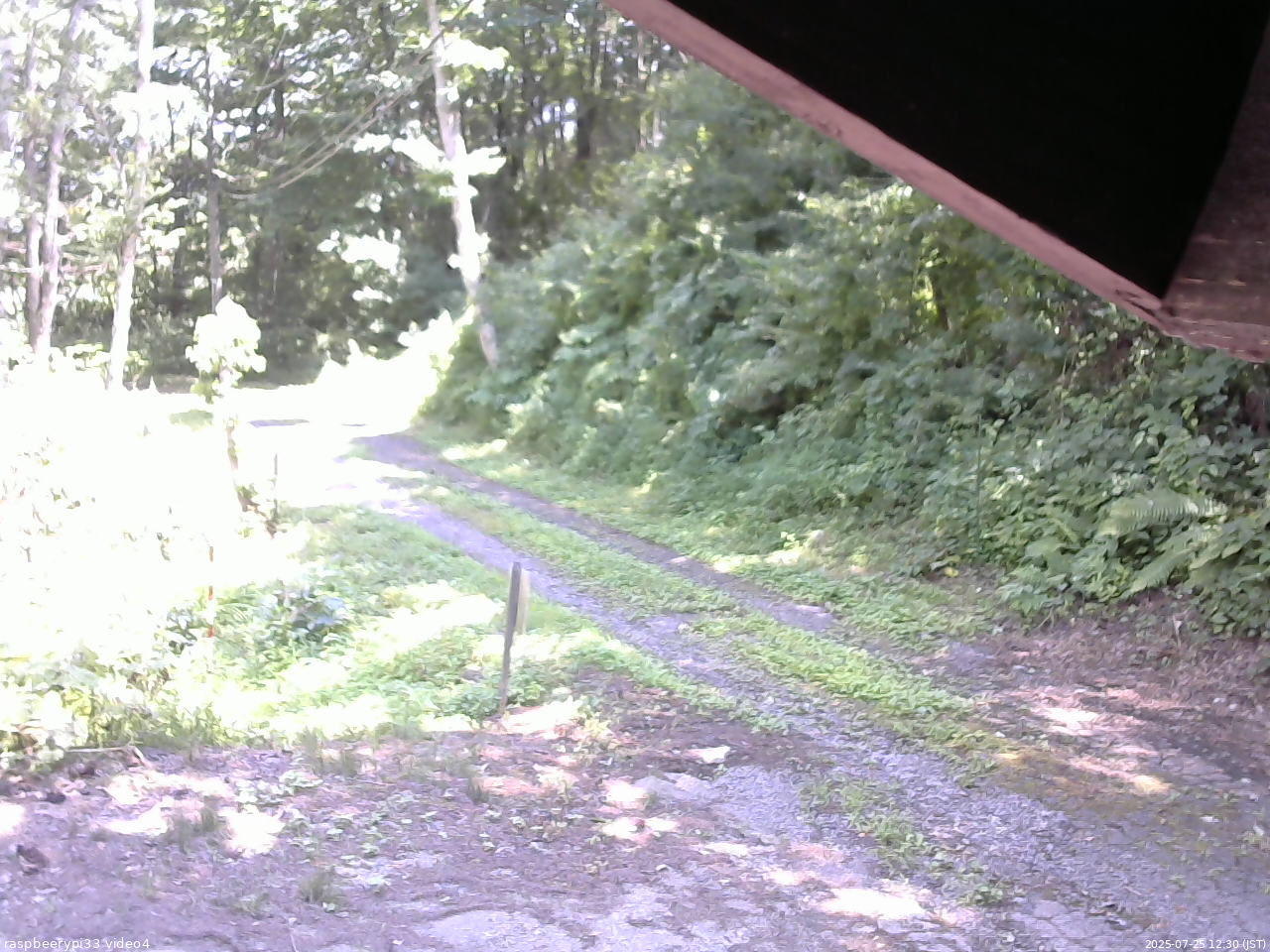 長野県菅平高原 ゆたか山荘 東側(坂下) 2025/07/25 12:30