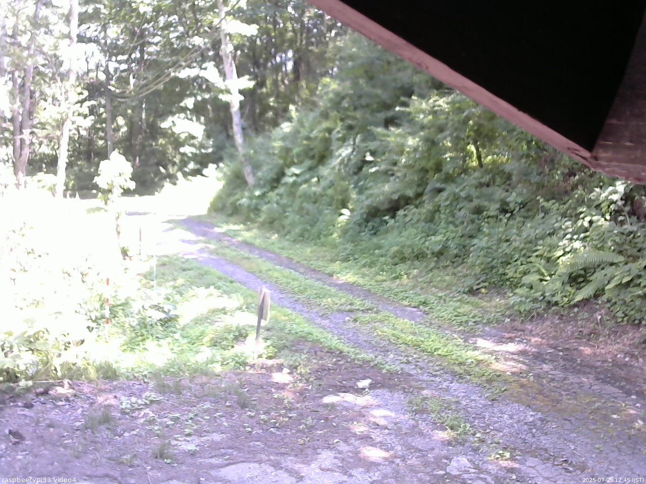 長野県菅平高原 ゆたか山荘 東側(坂下) 2025/07/25 12:45