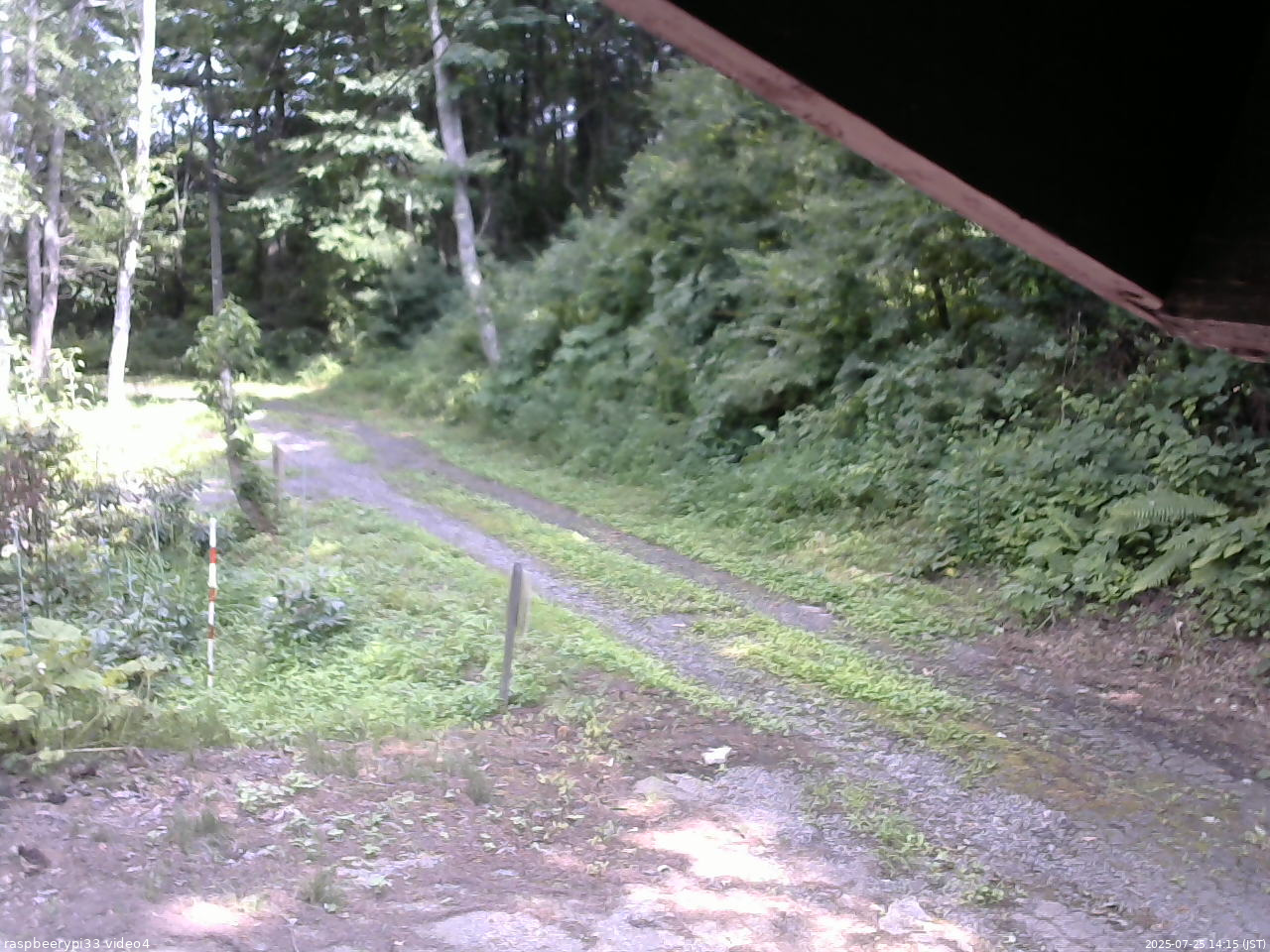 長野県菅平高原 ゆたか山荘 東側(坂下) 2025/07/25 14:15