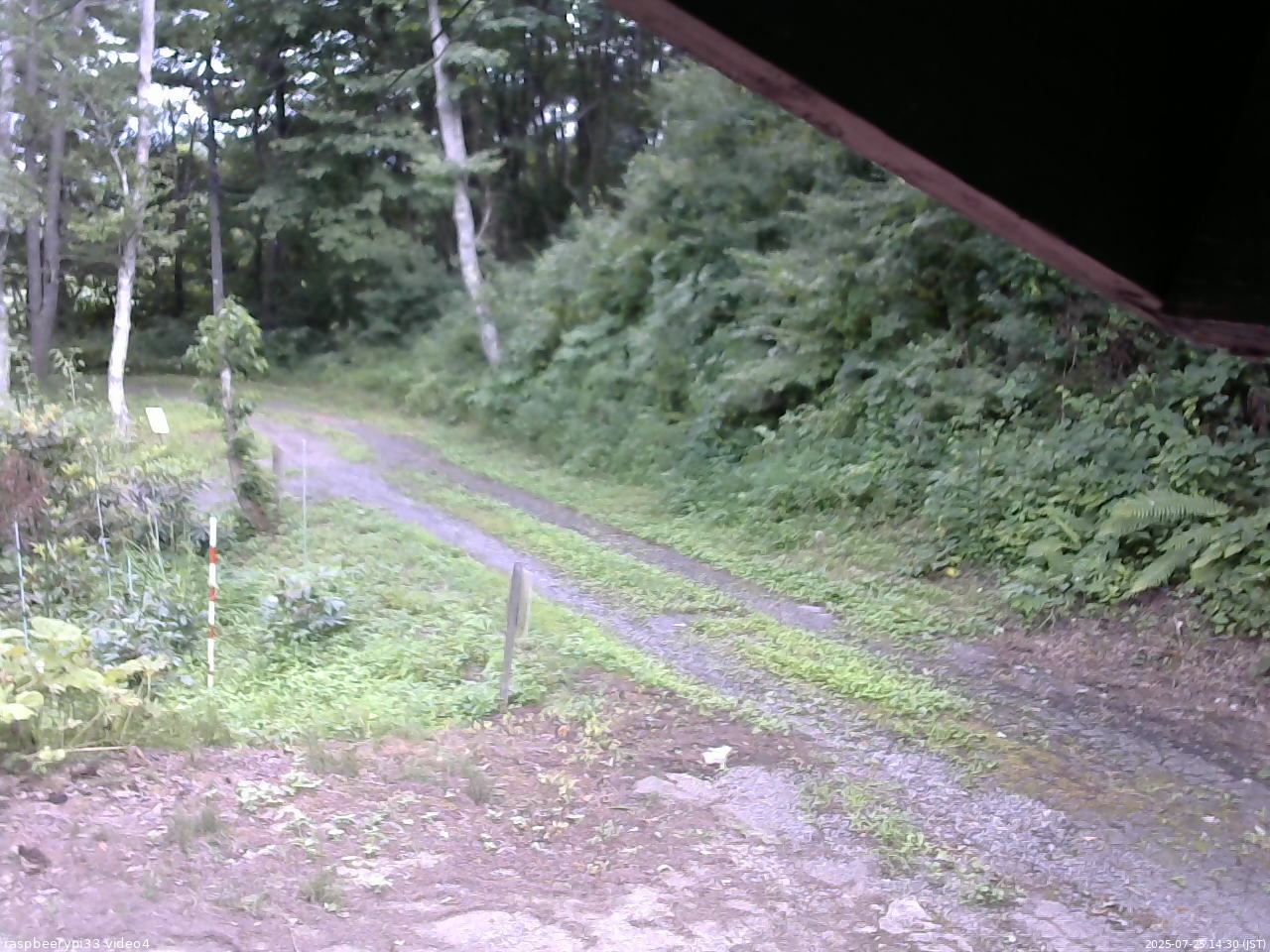 長野県菅平高原 ゆたか山荘 東側(坂下) 2025/07/25 14:30