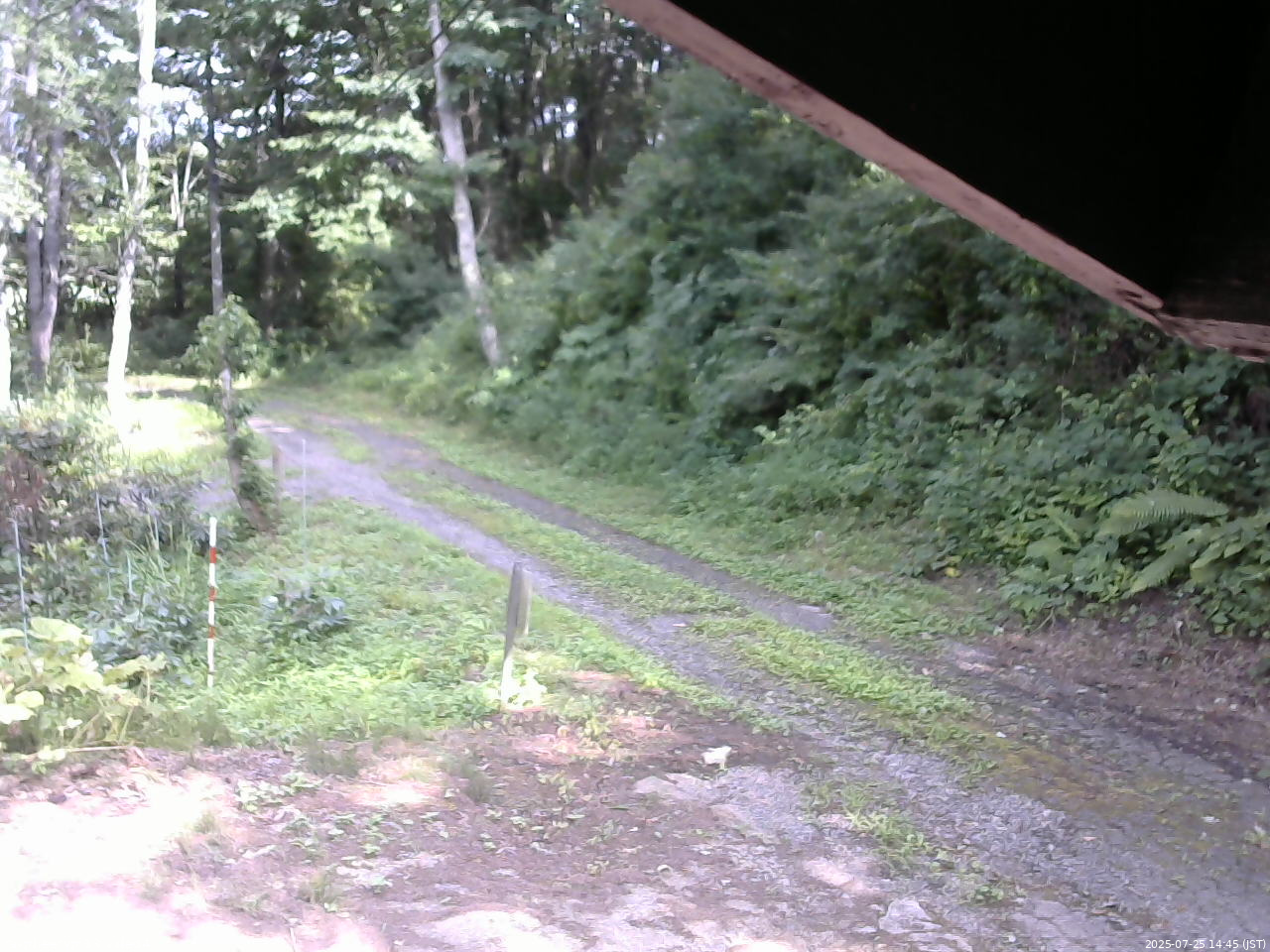 長野県菅平高原 ゆたか山荘 東側(坂下) 2025/07/25 14:45