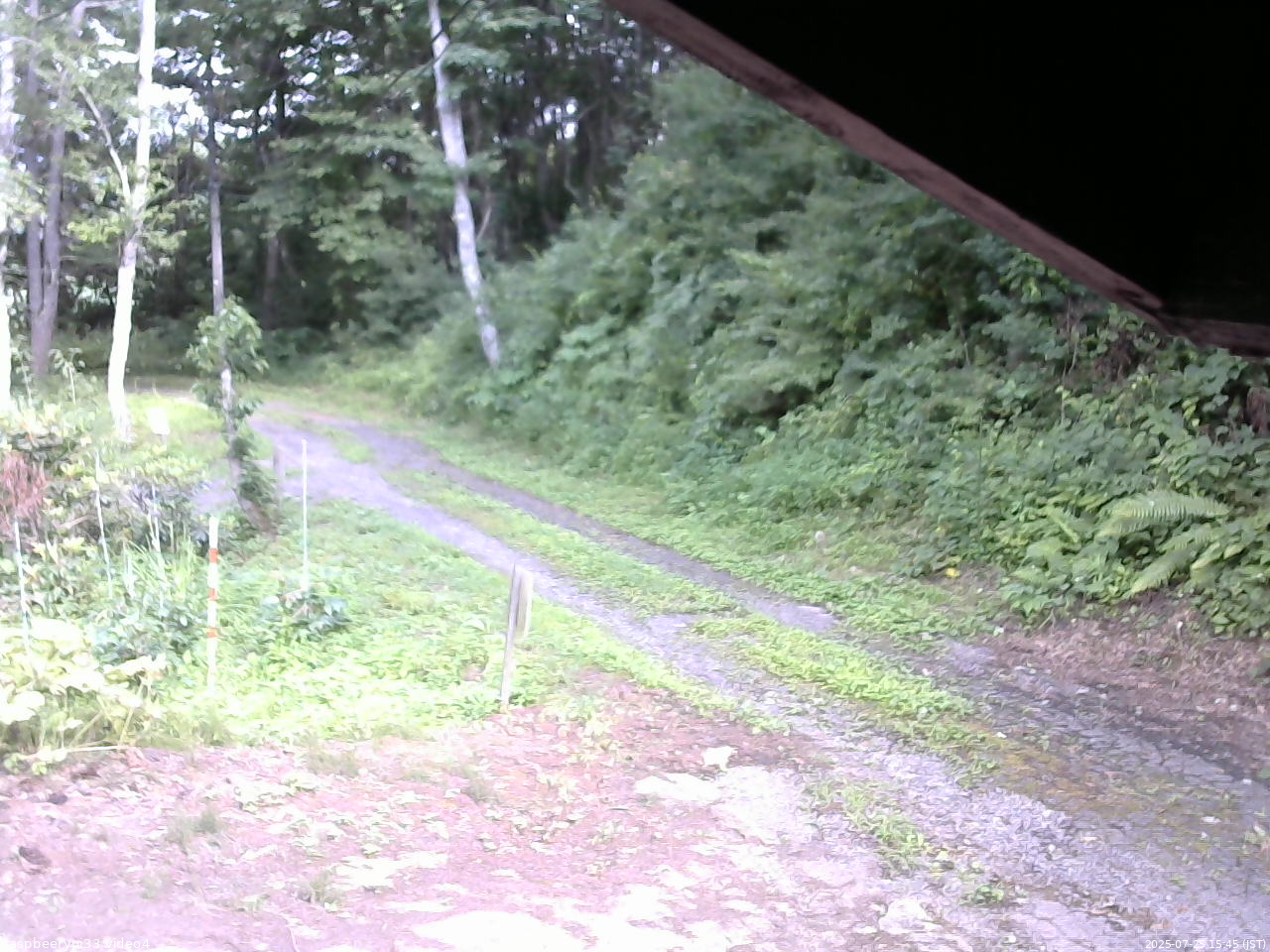 長野県菅平高原 ゆたか山荘 東側(坂下) 2025/07/25 15:45