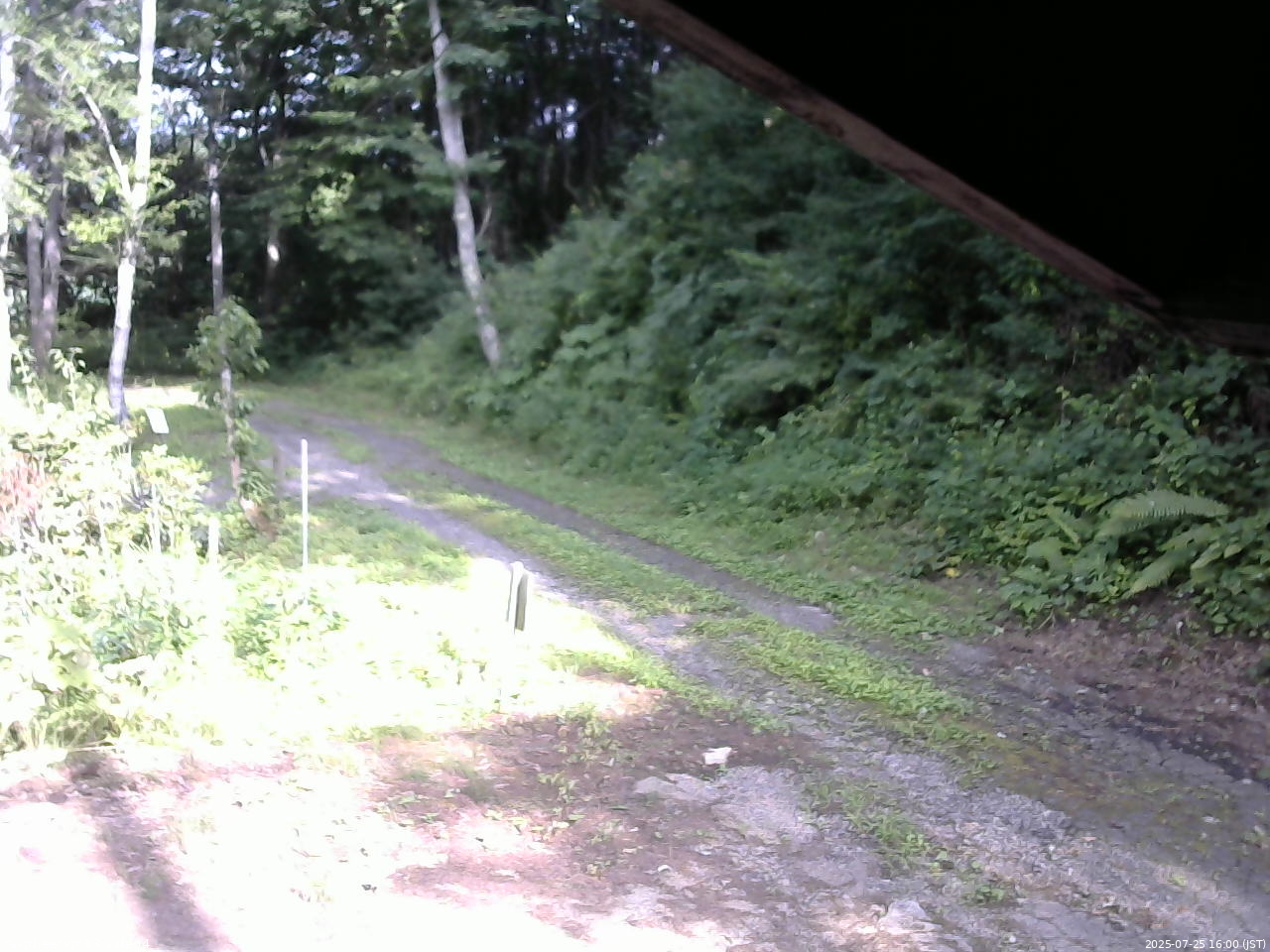 長野県菅平高原 ゆたか山荘 東側(坂下) 2025/07/25 16:00