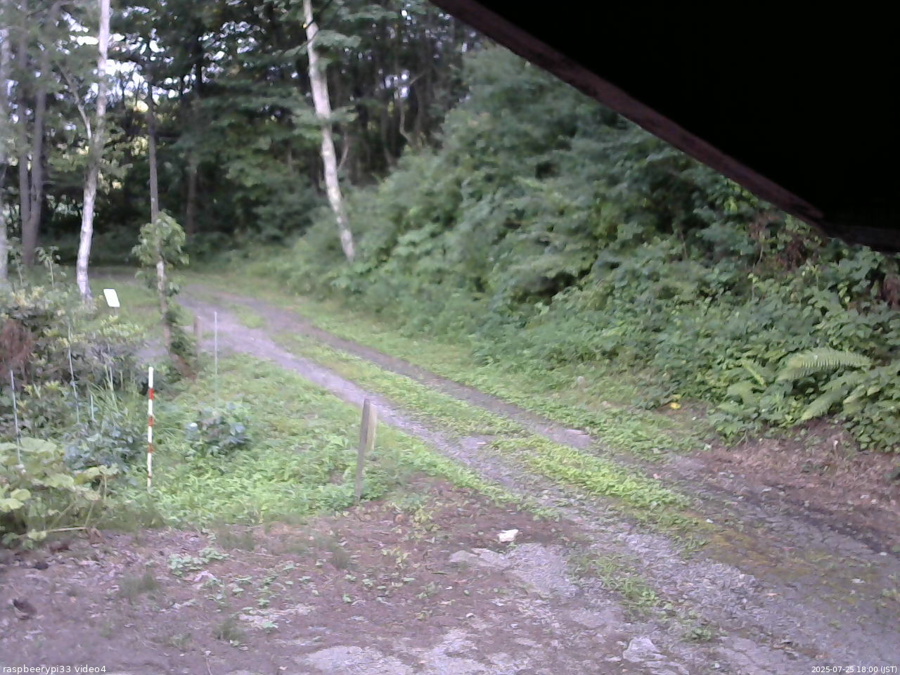 長野県菅平高原 ゆたか山荘 東側(坂下) 2025/07/25 18:00