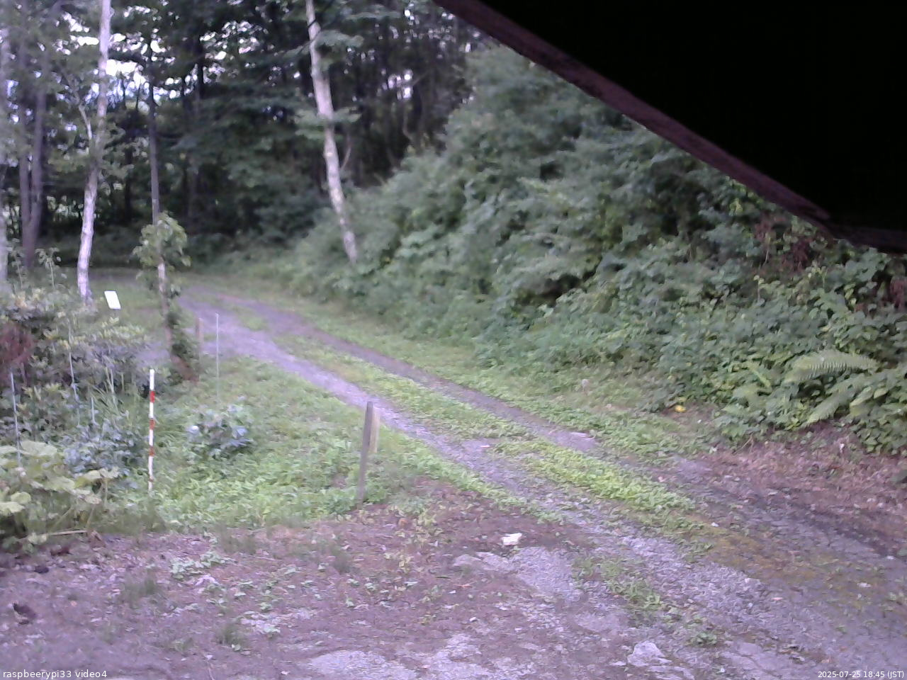 長野県菅平高原 ゆたか山荘 東側(坂下) 2025/07/25 18:45