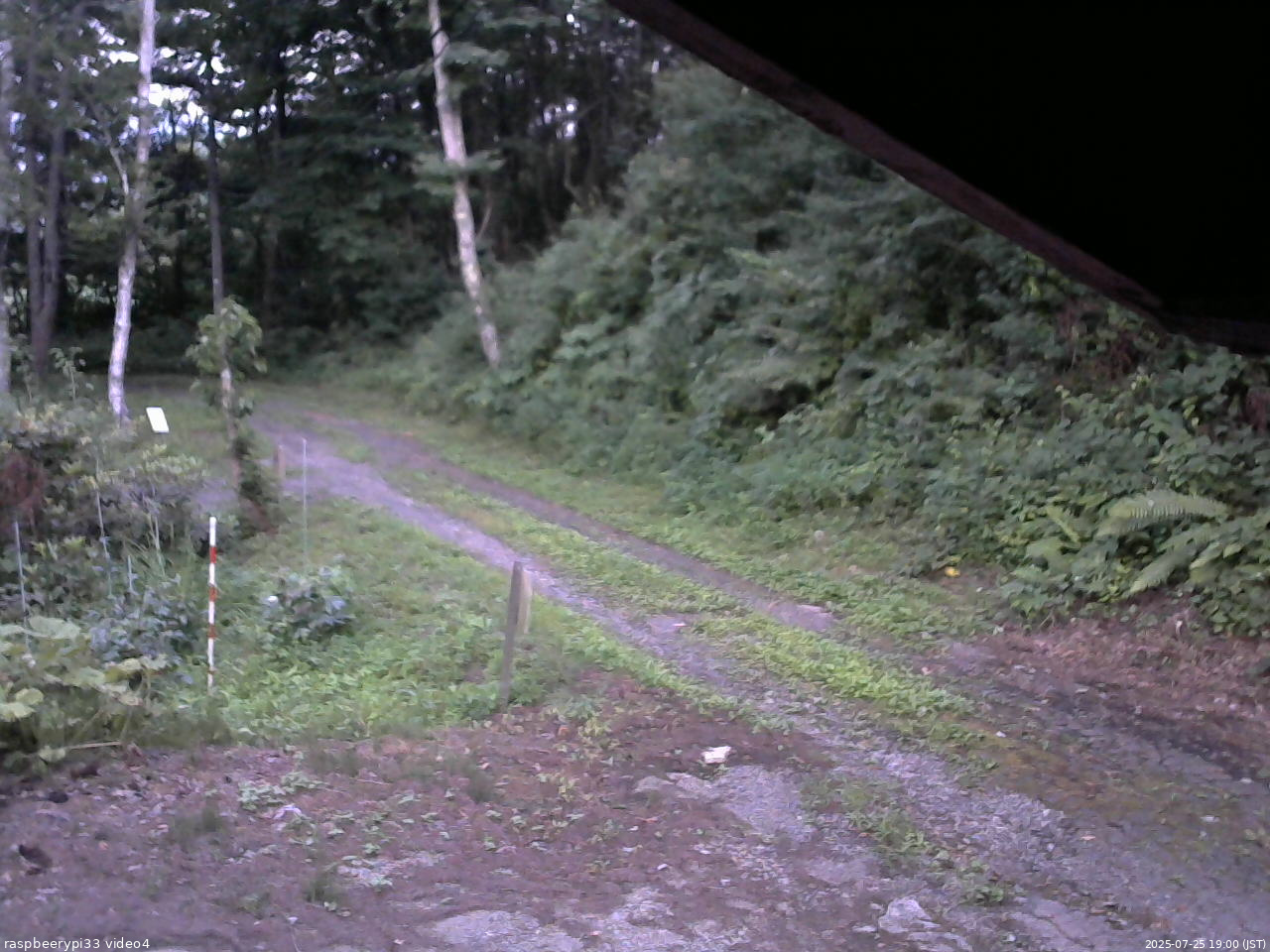 長野県菅平高原 ゆたか山荘 東側(坂下) 2025/07/25 19:00
