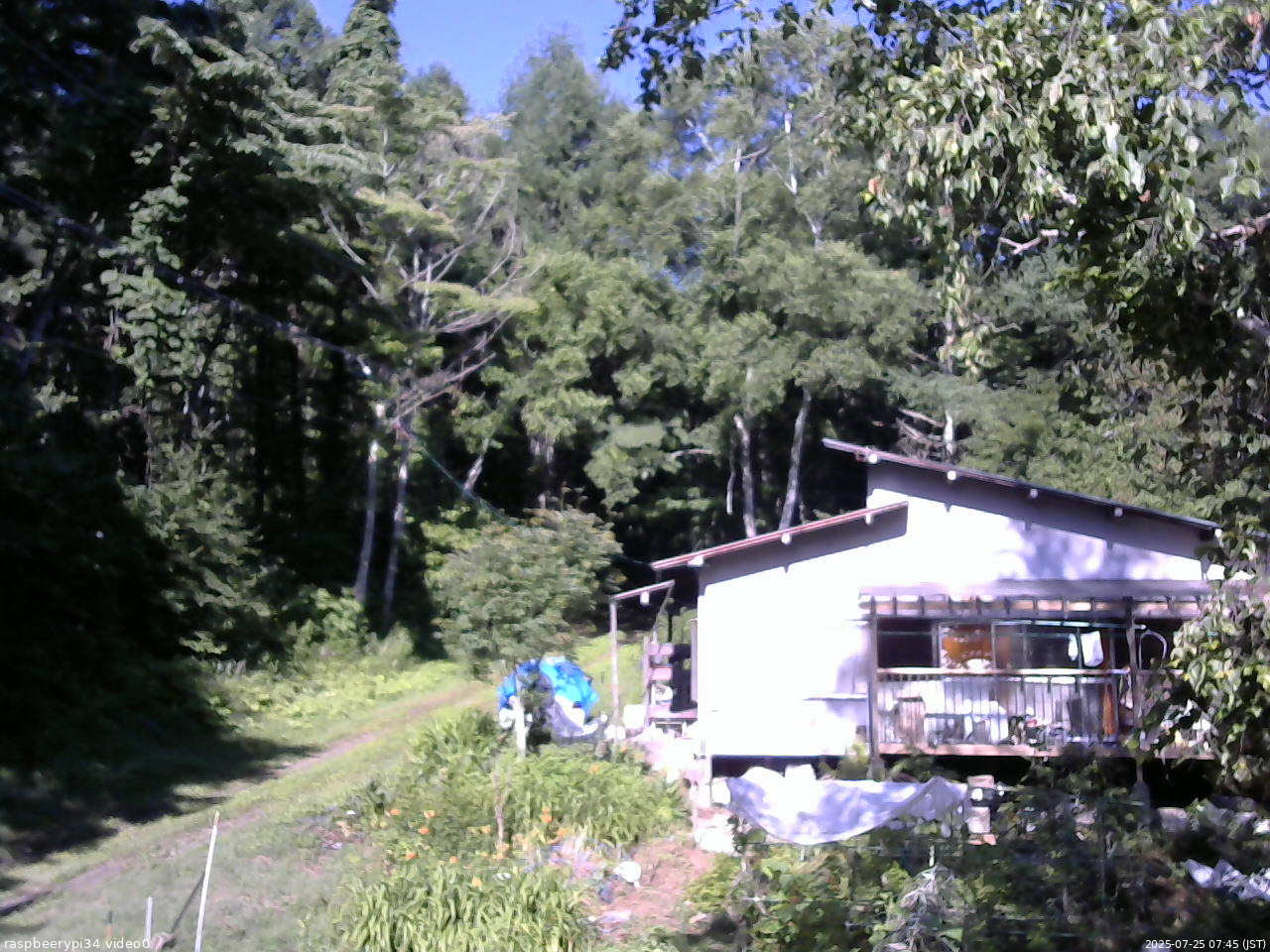 長野県菅平高原 ゆたか山荘 西側(坂上) 2025/07/25 07:45