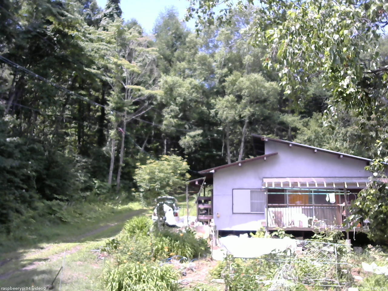 長野県菅平高原 ゆたか山荘 西側(坂上) 2025/07/25 11:00