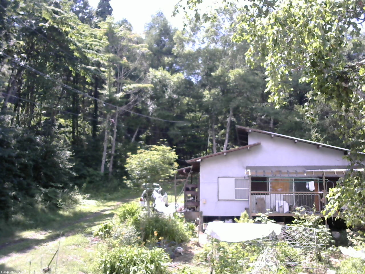 長野県菅平高原 ゆたか山荘 西側(坂上) 2025/07/25 13:30