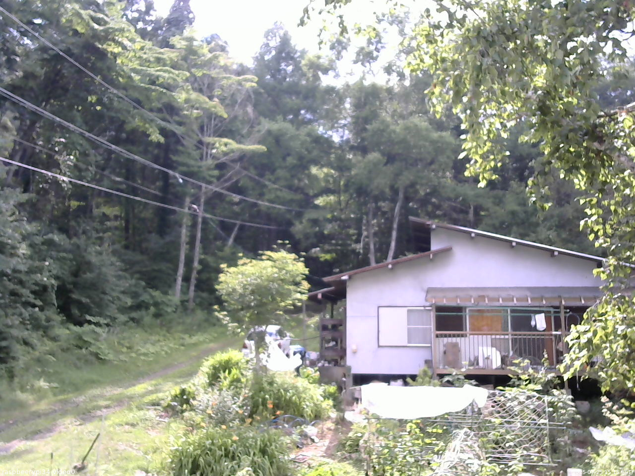 長野県菅平高原 ゆたか山荘 西側(坂上) 2025/07/25 15:15