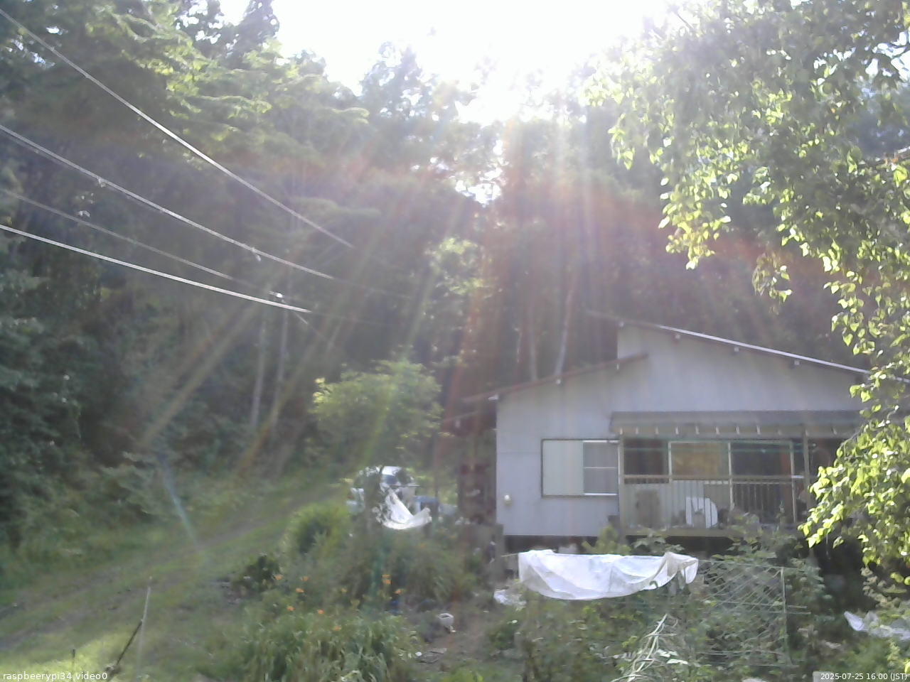 長野県菅平高原 ゆたか山荘 西側(坂上) 2025/07/25 16:00