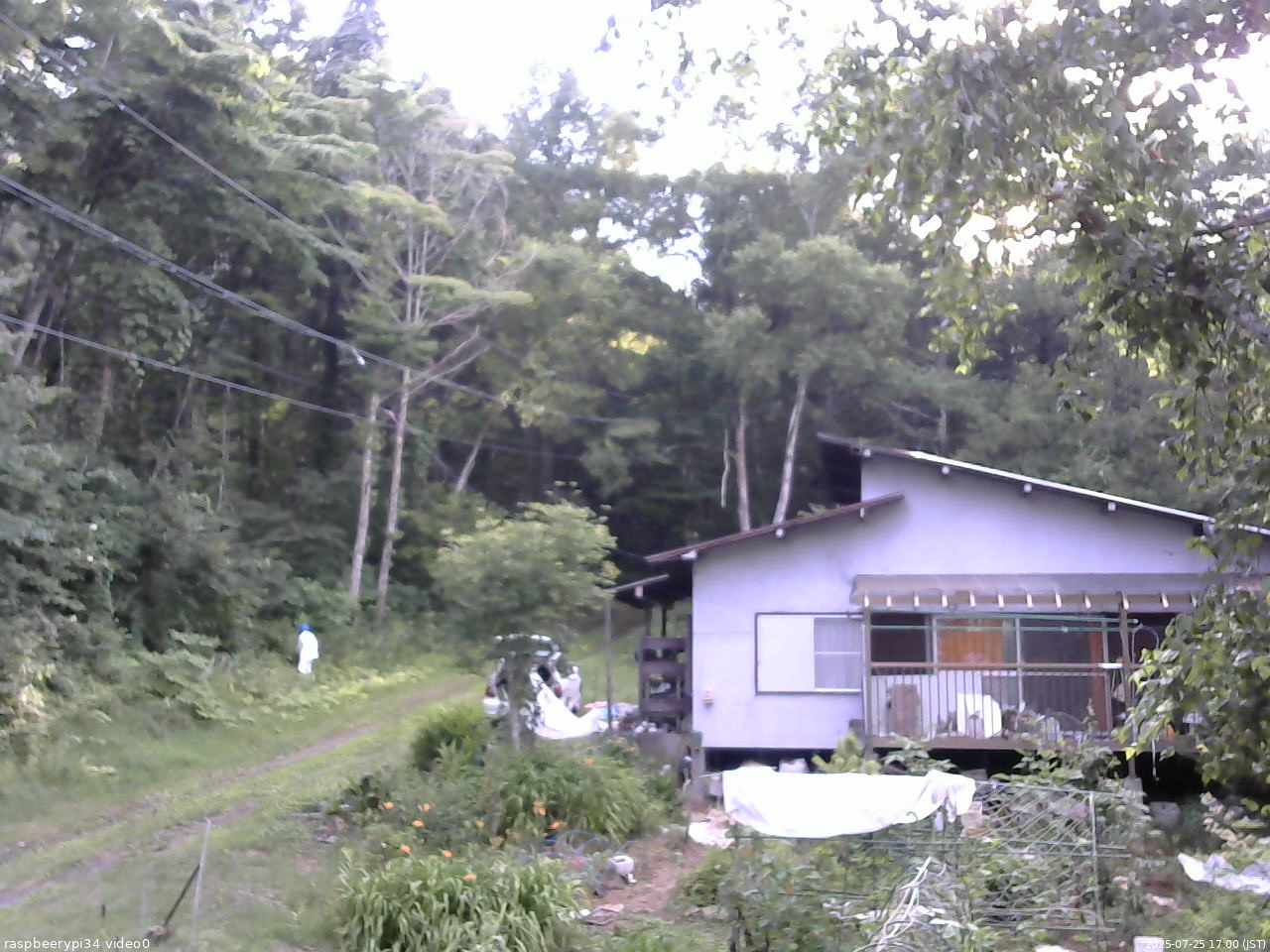長野県菅平高原 ゆたか山荘 西側(坂上) 2025/07/25 17:00