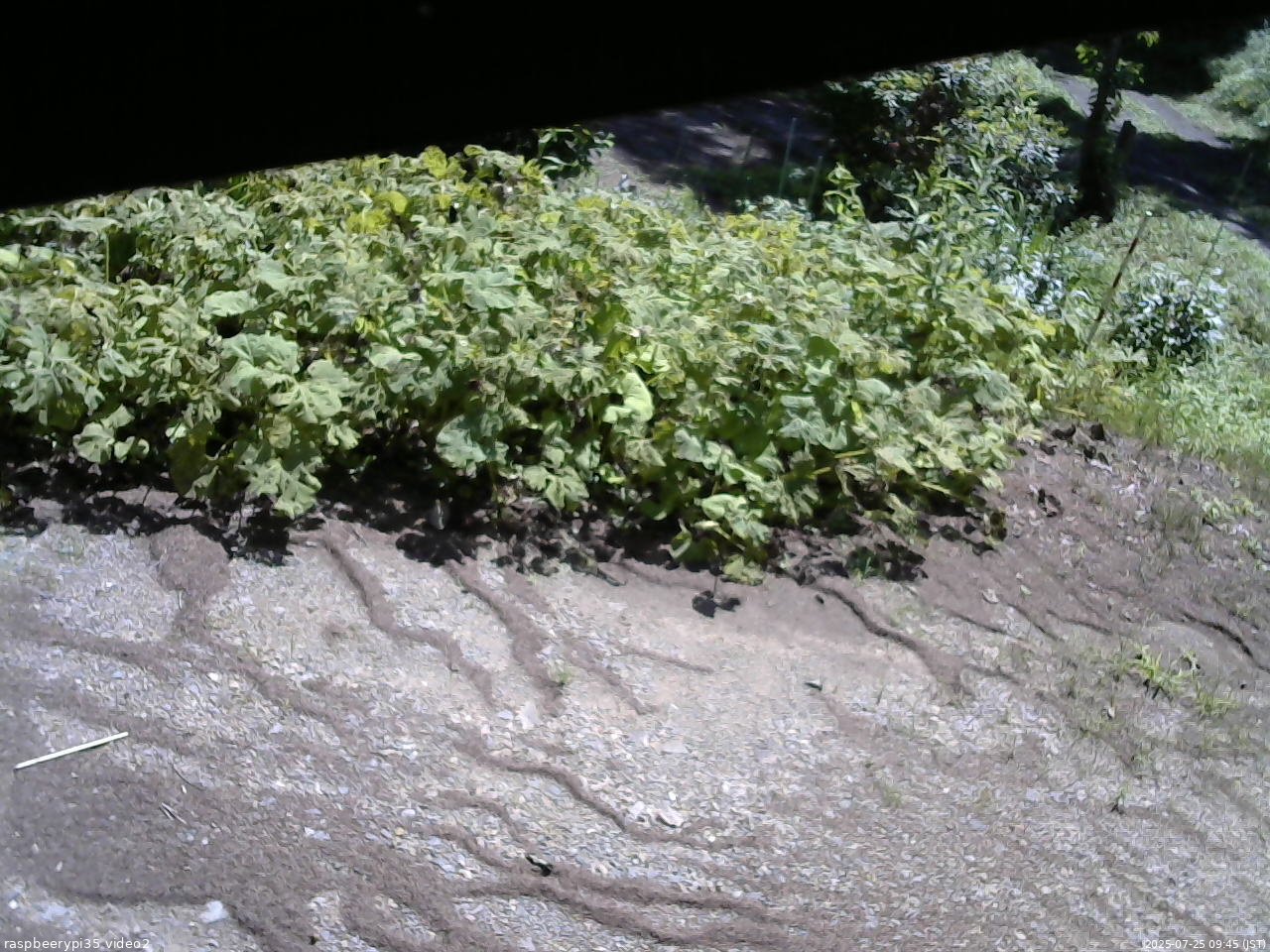 長野県菅平高原 ゆたか山荘 駐車場 2025/07/25 09:45
