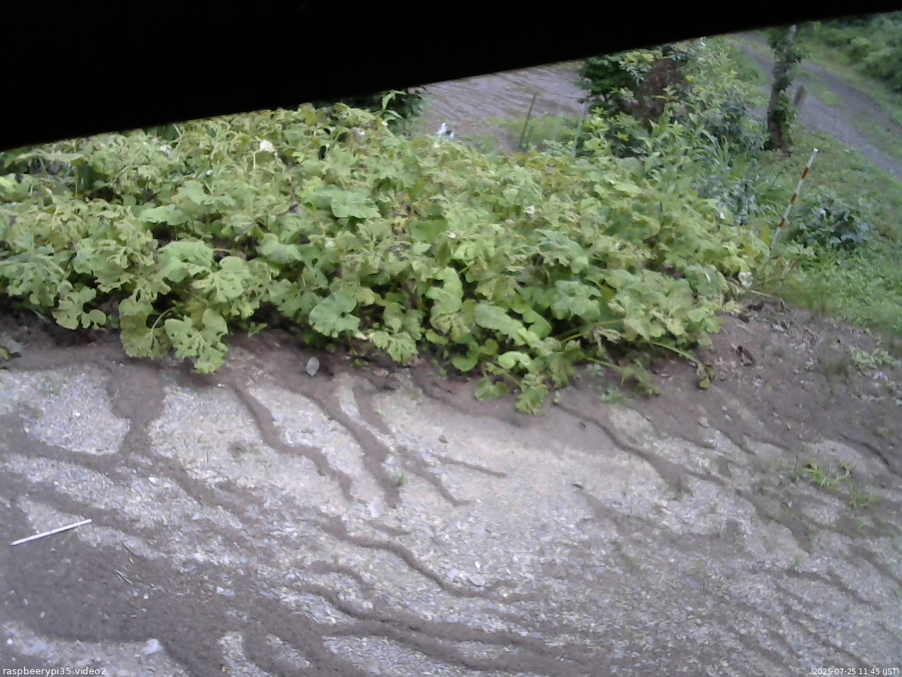 長野県菅平高原 ゆたか山荘 駐車場 2025/07/25 11:45