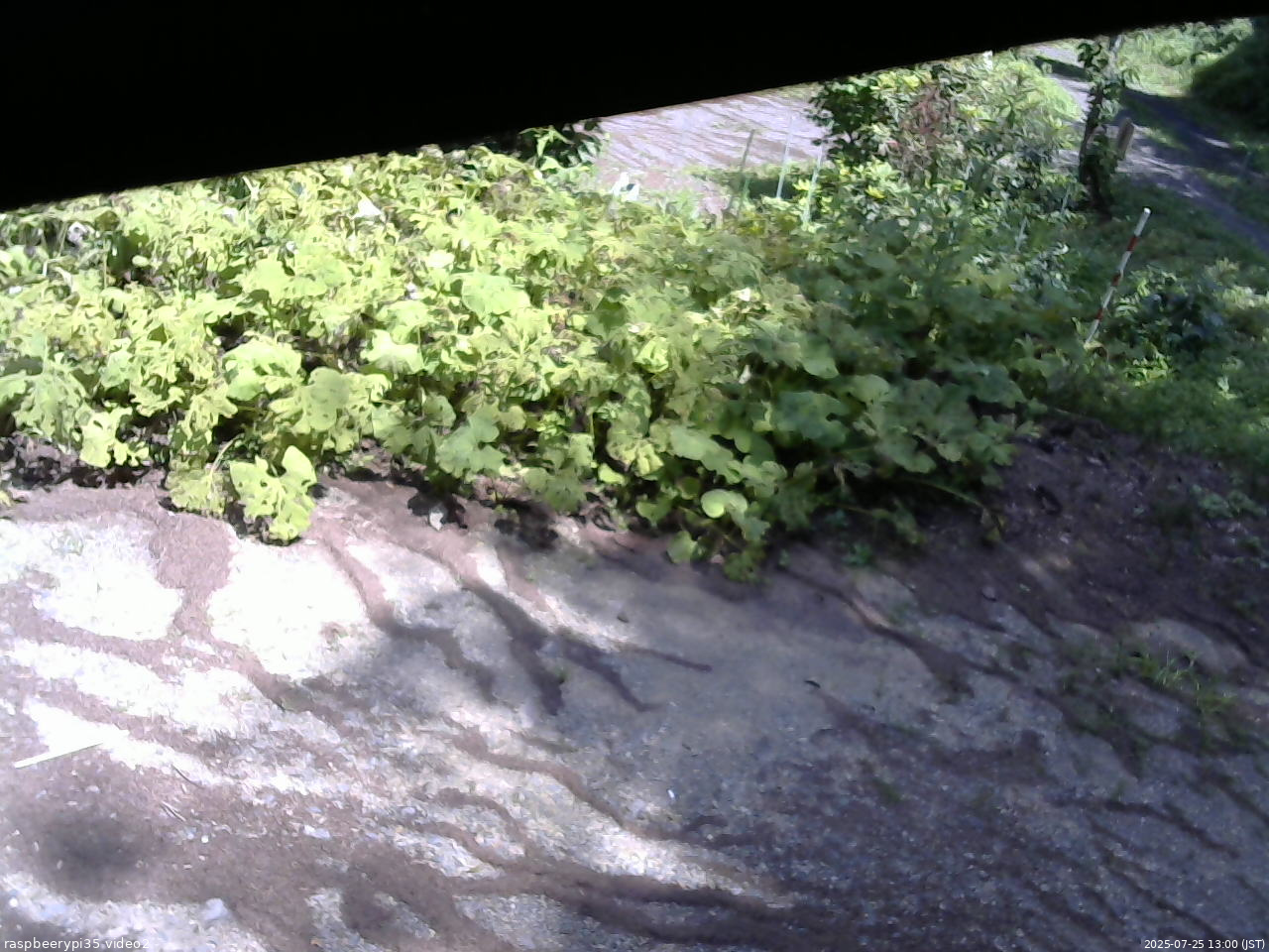 長野県菅平高原 ゆたか山荘 駐車場 2025/07/25 13:00