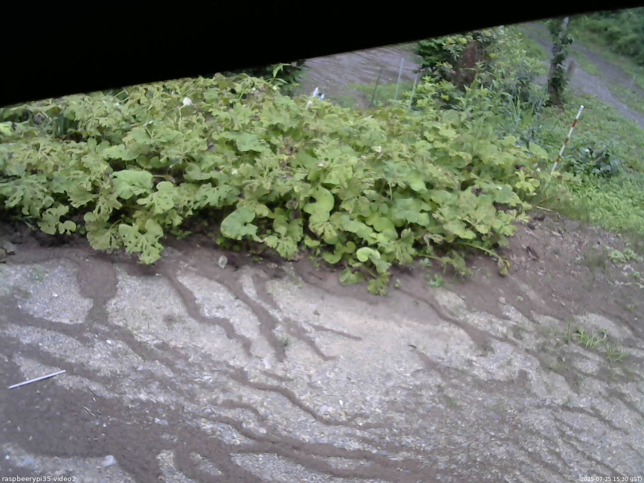長野県菅平高原 ゆたか山荘 駐車場 2025/07/25 15:30