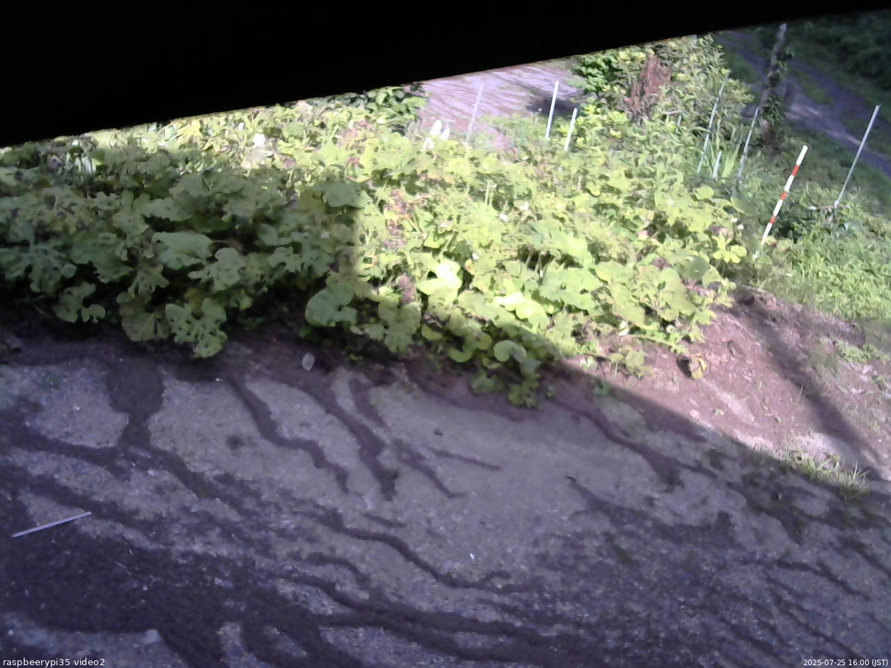 長野県菅平高原 ゆたか山荘 駐車場 2025/07/25 16:00