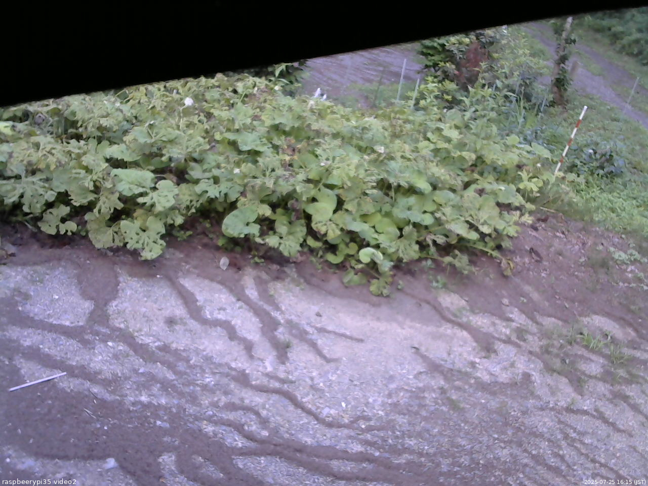 長野県菅平高原 ゆたか山荘 駐車場 2025/07/25 16:15