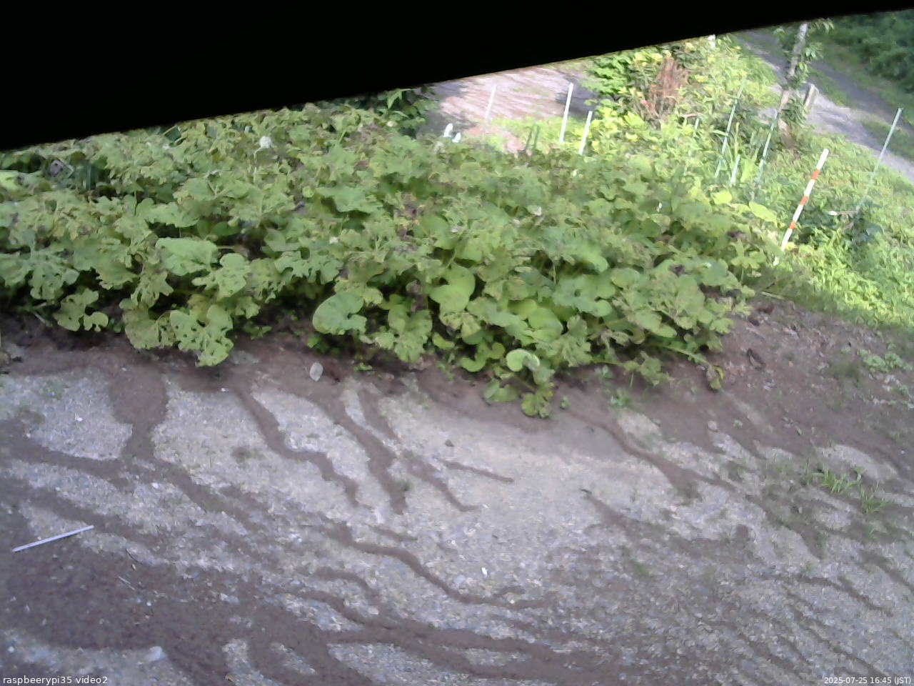 長野県菅平高原 ゆたか山荘 駐車場 2025/07/25 16:45
