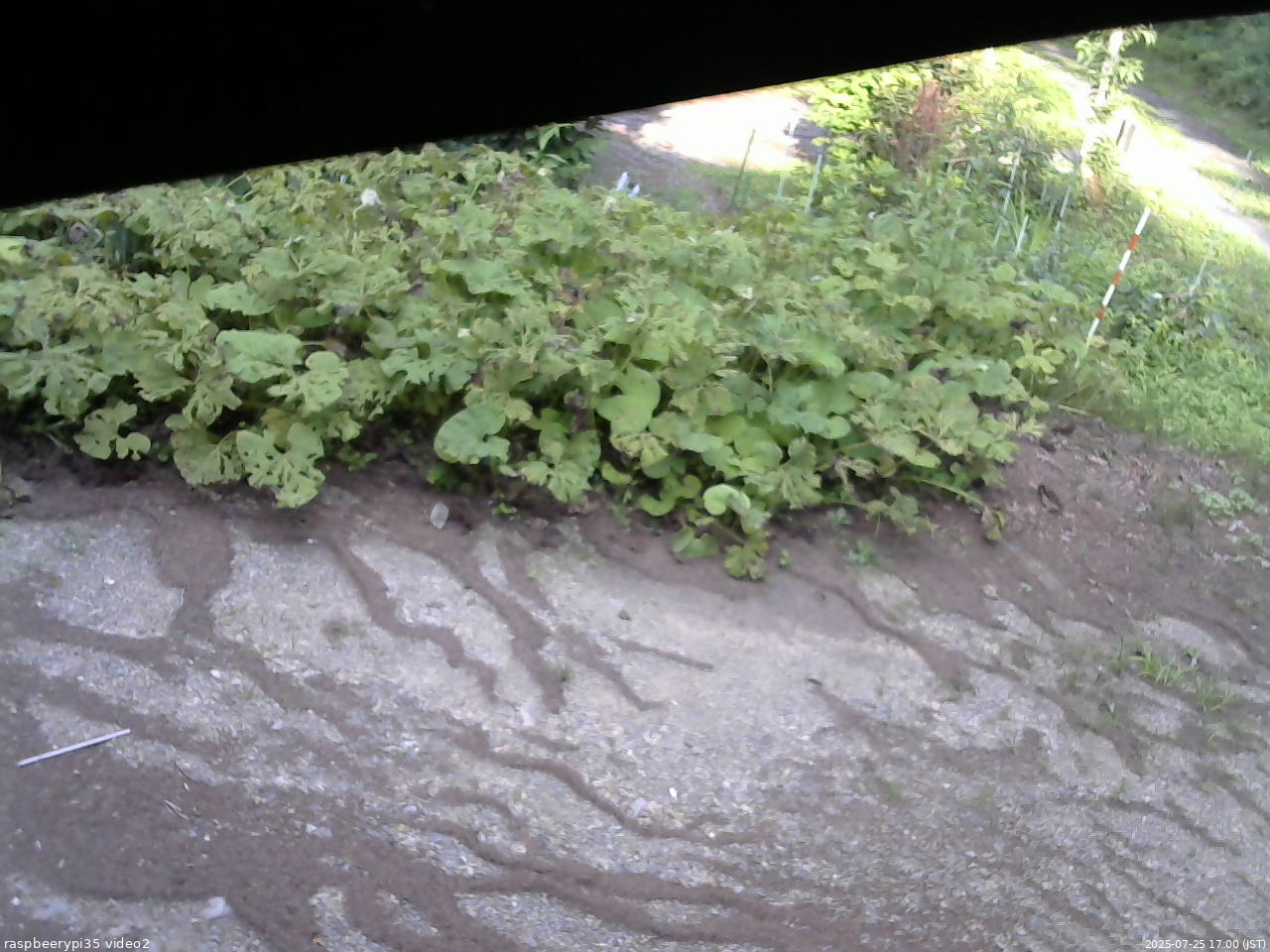 長野県菅平高原 ゆたか山荘 駐車場 2025/07/25 17:00
